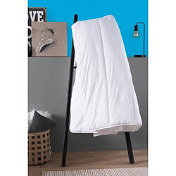 Avis Dodo couette chaude Patagonie - 240x260 cm