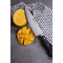 Couteau du chef 21cm inox - 225100 - Ópera - ARCOS pas cher