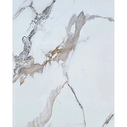 Panneaux muraux PVC effet marbre Protocole Home — hydrofuge et imputrescible, 122 x 260 cm (3 mm), pose simple et rapide.