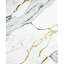 Panneaux muraux PVC effet marbre Protocole Home — hydrofuge et imputrescible, 122 x 260 cm (3 mm), pose simple et rapide.