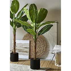 Alexandra House Living Bananier 220 cm. 220 cm