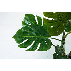 Alexandra House Living Plante Philodendron divisée 140 cm. 140 cm