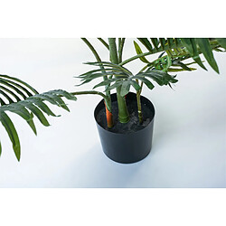 Alexandra House Living Kentia, plante de 140 cm.