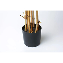 Alexandra House Living Plante de bambou 220 cm. 220 cm