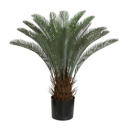 Alexandra House Living Plante de Zica, 65 cm. 65 cm