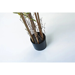 Alexandra House Living Plante de bambou, 165 cm.
