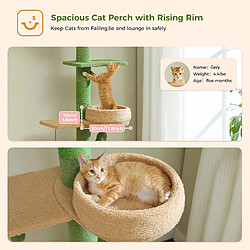 Avis PAWZ Road Arbre à Chat Cactus du Sol au Plafond 205-255 cm