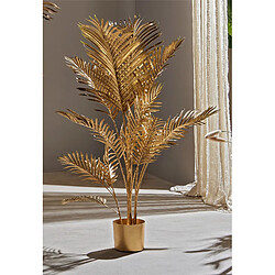 Alexandra House Living Plante Kentia Gold 126 cm. 85 x 126 cm