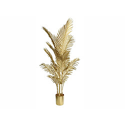 Alexandra House Living Plante Kentia Gold 126 cm. 85 x 126 cm