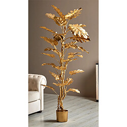 Alexandra House Living Plante Philodendron Gold divisée 186 cm. 78 x 186 cm