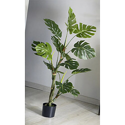 Alexandra House Living Plante Philodendron divisée 140 cm. 140 cm