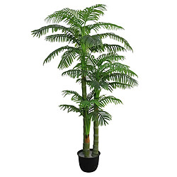 Alexandra House Living Arbre Kentia 250 cm. 250 cm