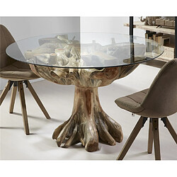 Alexandra House Living Table de salle à manger en racine de teck massif avec plateau en verre 130D x 76 cm. 130D x 76 cm