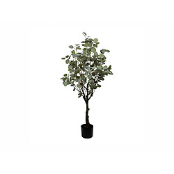 Alexandra House Living Eucalyptus 122 cm. 122 cm