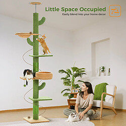 PAWZ Road Arbre à Chat Cactus du Sol au Plafond 205-255 cm pas cher