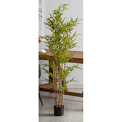 Alexandra House Living Plante de bambou, 165 cm.