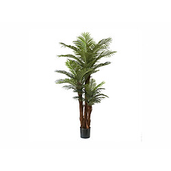 Alexandra House Living Kentia 200 cm