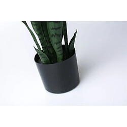 Alexandra House Living Plante Sansevieria 75 cm. 75 cm