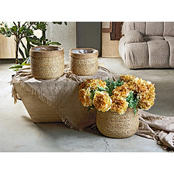 Décoration d'extérieur Alexandra House Living