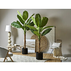 Avis Alexandra House Living Bananier 220 cm. 220 cm