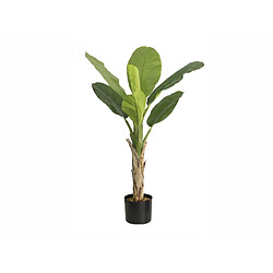 Alexandra House Living Bananier 155 cm. 155 cm