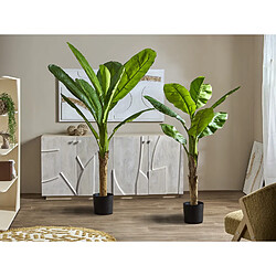 Avis Alexandra House Living Bananier 155 cm. 155 cm