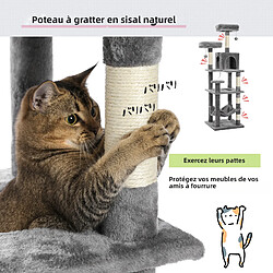 Acheter Pawz road Arbre à chat à 7 niveaux Nara9 - 154 cm - Gris