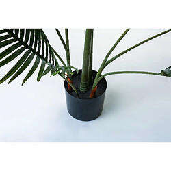 Alexandra House Living Kentia, plante de 180 cm.