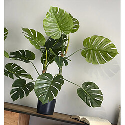 Alexandra House Living Plante Philodendron divisée 110 cm. 110 cm