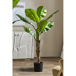 Alexandra House Living Bananier 155 cm. 155 cm