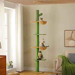 PAWZ Road Arbre à Chat XXL du Sol au Plafond – 5 Niveaux, Tout Sisal