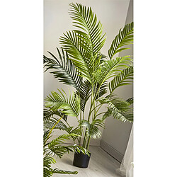 Alexandra House Living Kentia, plante de 180 cm.