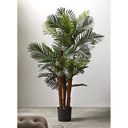 Alexandra House Living Kentia 156 cm