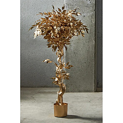 Alexandra House Living Ficus Benjamin Gold, plante de 135 cm (78 x 135 cm)
