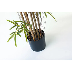 Alexandra House Living Plante de bambou 200 cm x 200 cm