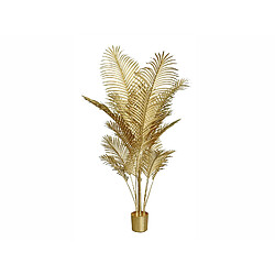 Alexandra House Living Kentia Gold, plante de 160 cm (125 x 160 cm).