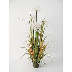 Alexandra House Living Pissenlit 120 cm. 120 cm