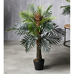 Alexandra House Living Palmier Phoenix 92 cm. 92 cm