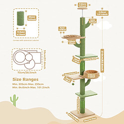 PAWZ Road Arbre à Chat Cactus du Sol au Plafond 205-255 cm