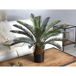 Alexandra House Living Plante de Zica, 65 cm. 65 cm