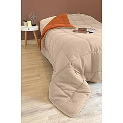 Acheter POYET MOTTE CALGARY Couette 140 x 200 cm 4 saisons microfibre bicolore Gris galet Marron gingembre