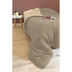 Acheter Poyet motte Couette chaude microfibre - Taupe