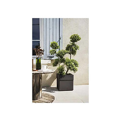 EDA Plastiques Pot de fleur carré Carel gris anthracite 39 x 39 x 39 cm - Eda pas cher