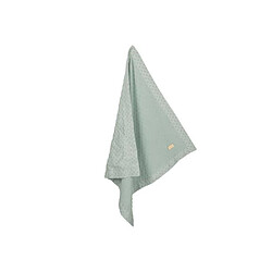 Roba 306111G240 Couverture bébé bio 80 x 80 cm vert givré Lil Planet