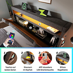 Blossom Paris Lit double capitonné 180x200, tête de lit rangement USB/Type-C, LED, hydraulique, gris lin. (sans matelas) pas cher