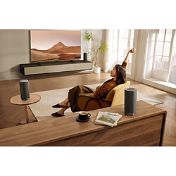 Tcl Z100 - Noir pas cher