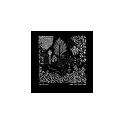 Garden of the Arcane Delights + Peel Sessions Vinyle double 2016 DAD3628