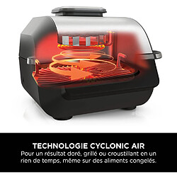 Acheter Ninja EG351EU Friteuse sans huile 5-en-1 5,7 L 1760 W thermosonde