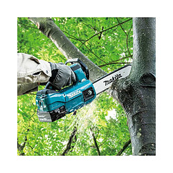 Tronçonneuse