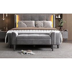 modfu Banc d’appoint gris 116 x 44 x 56 cm, velours, accoudoirs pas cher
